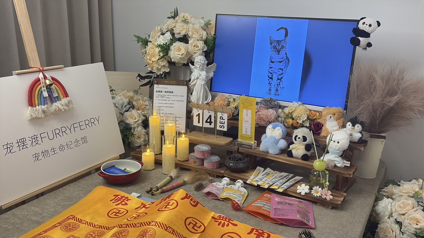 怎么拿到死亡证明