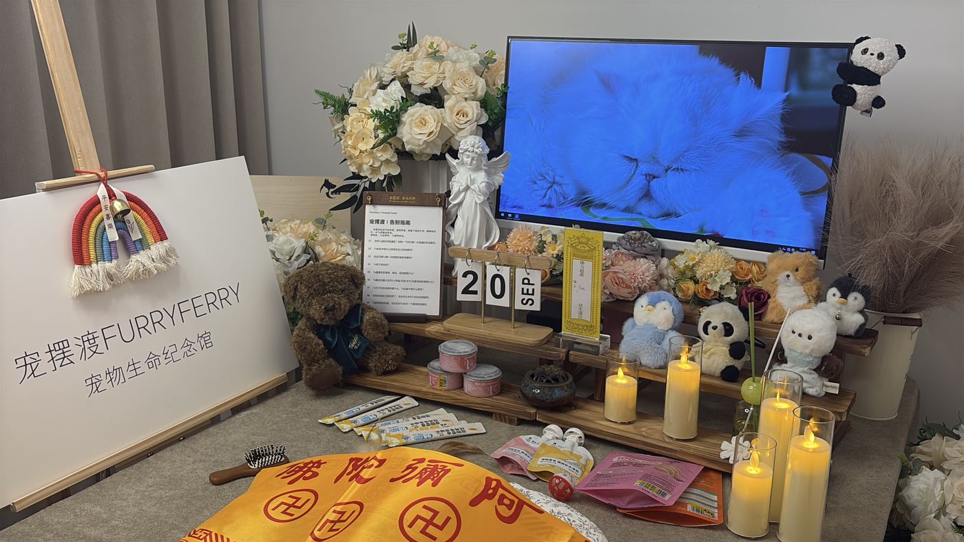 如何面对宠物离世的悲伤？写给镇江养宠人的心理支持