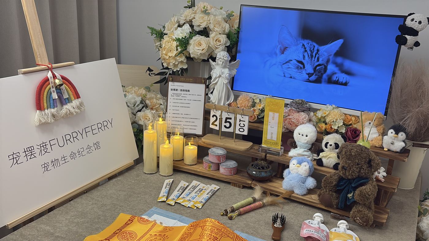 镇江宠物告别厅布置：如何给京口家属一个体面的告别